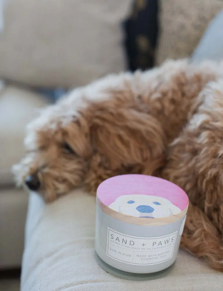 Sand + Paws Sun-N-Fun 12 Oz Scented Candle - Image 5
