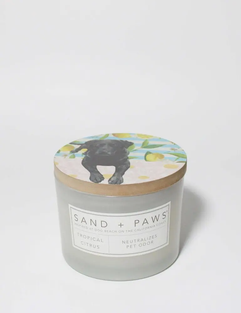 Sand + Paws Tropical Citrus 12 Oz Scented Candle
